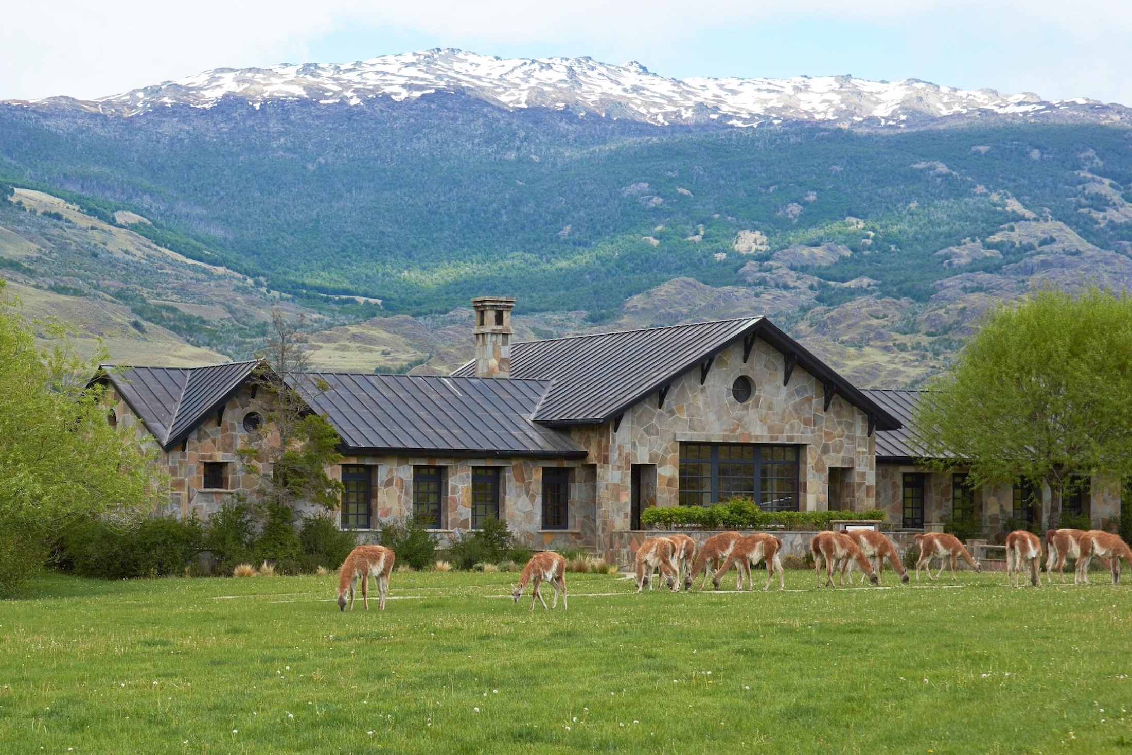 Lodge at Explora Patagonia National Park, with grazing guanacos, in the Chacabuco Valley in Aysen