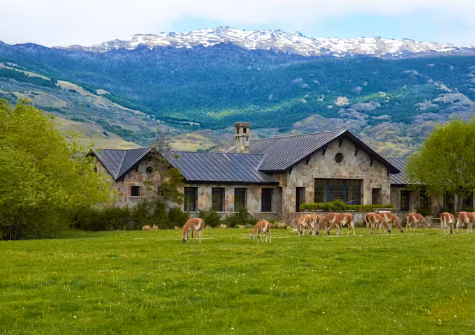Explora Patagonia National Park grounds, guanacos