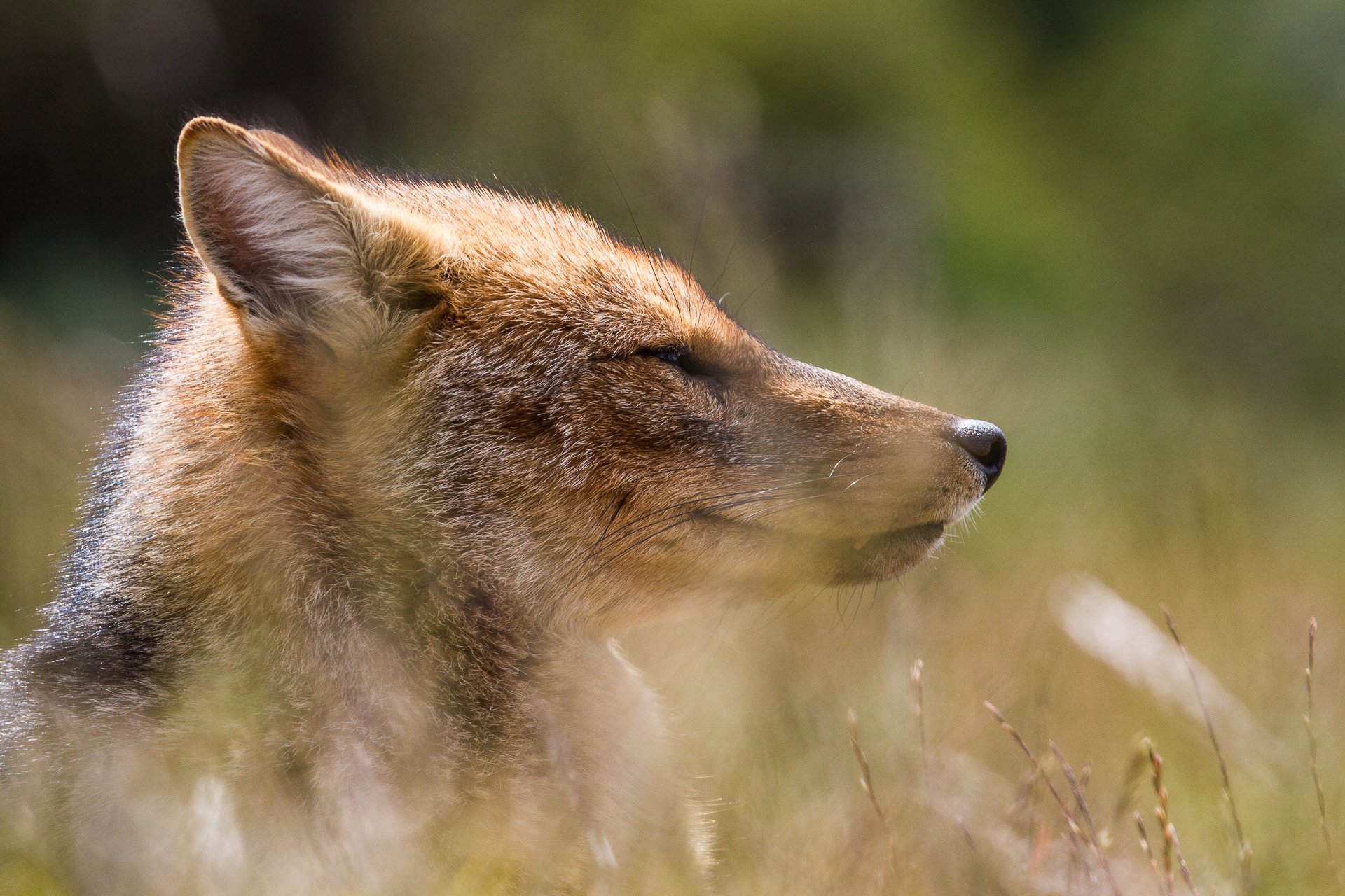 Patagonia Photo Expedition