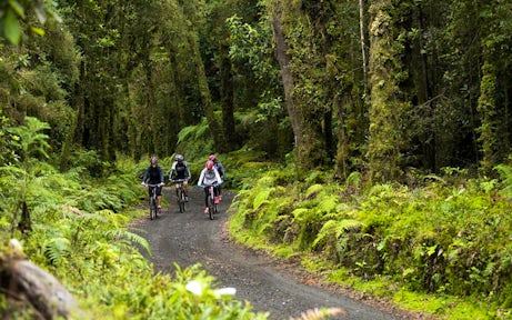 Biking at Lake Pichi, Futangue, Patagonia, Chile