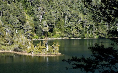 Lake Pitreño, Futangue, Patagonia, Chile