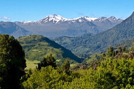 Image of the Petrohue mountains in the distance and forest landscape in front, near Puerto Varas, Chile