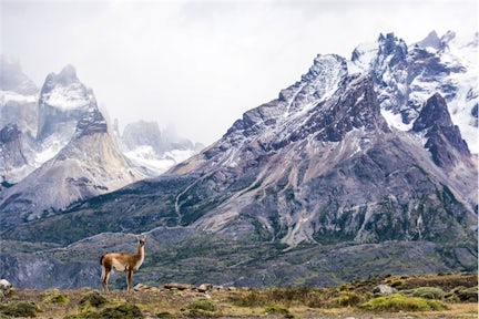 Patagonia: Earth's Secret Paradise