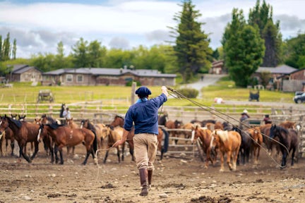 Estancia life at Hotel Las Torres, Torres del Paine, Patagonia, Chile