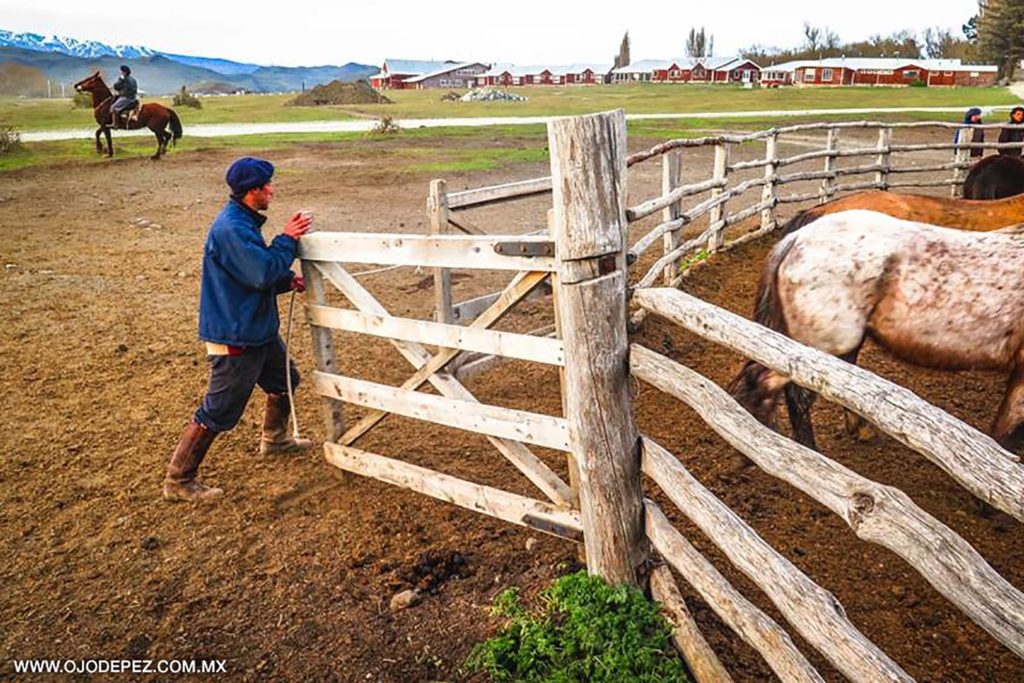 Hotel las Torres stables, Torres del Paine, Patagonia