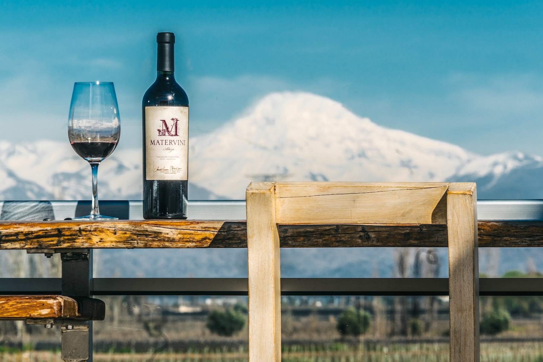 Red wine in Mendoza with view to Aconcagua