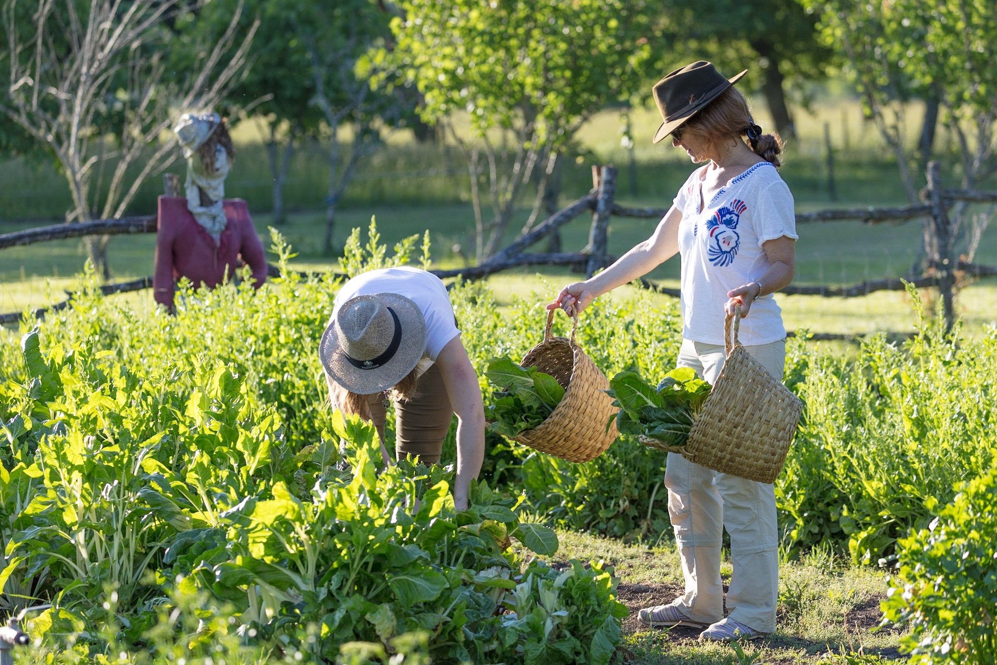 Women select ingredients from the garden at La Bandada