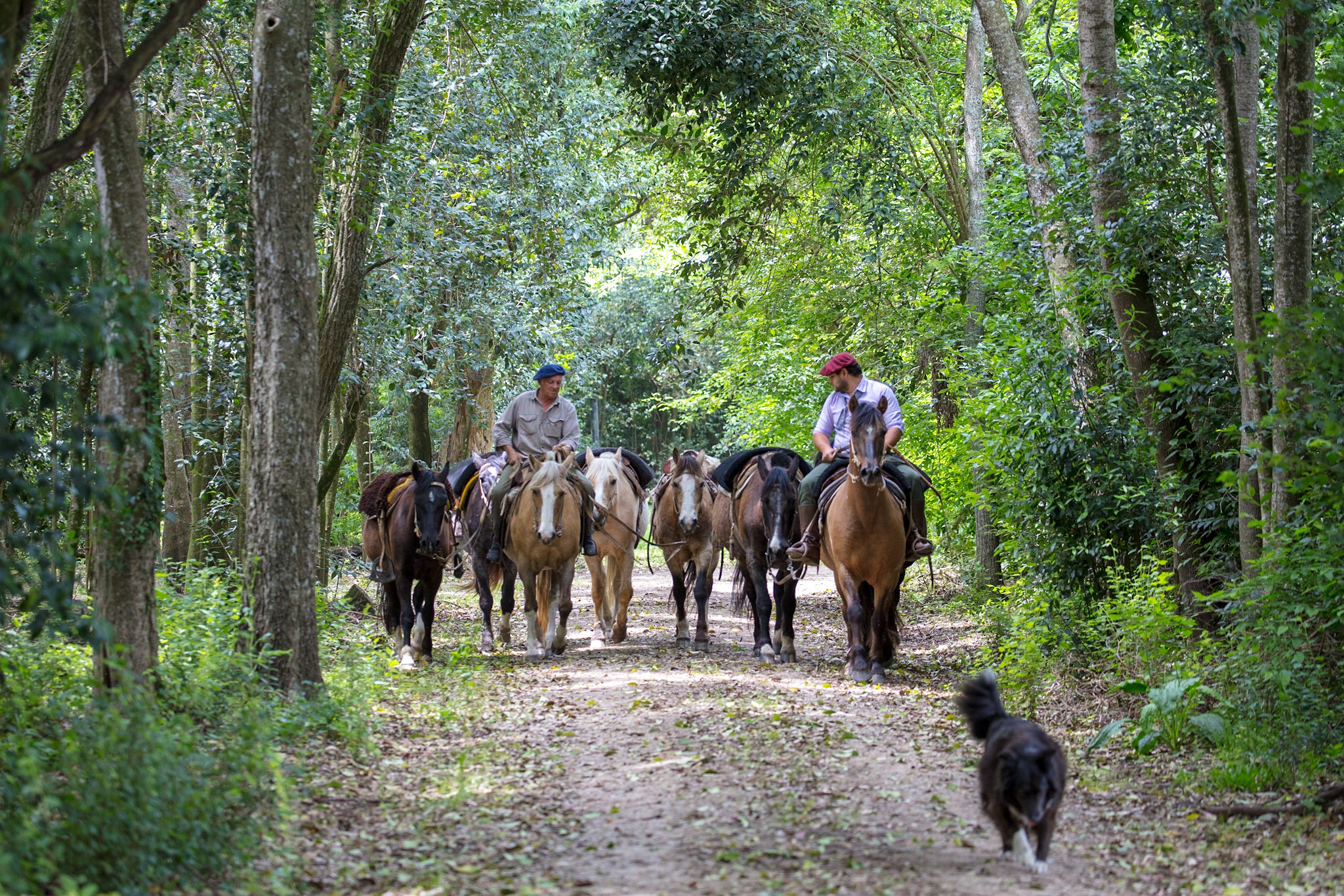Estancia La Bandada gauchos