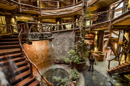 Huilo Huilo Biological Reserve