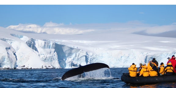 Visas & Travel Documentation