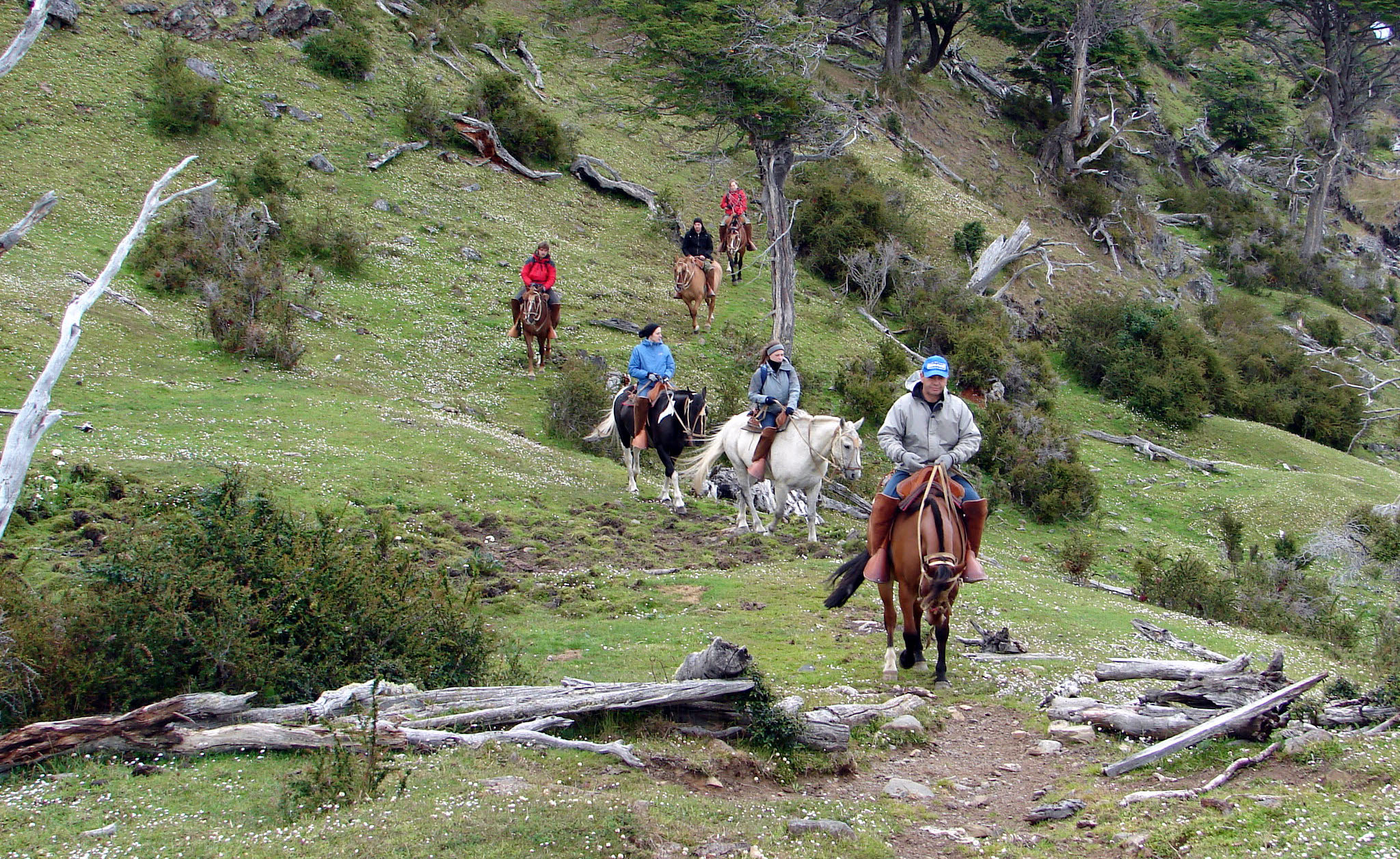 What to do in Tierra del Fuego