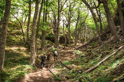 Ferrier Lookout Hike