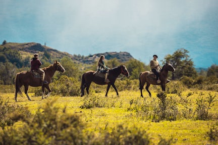 Horseback Riding