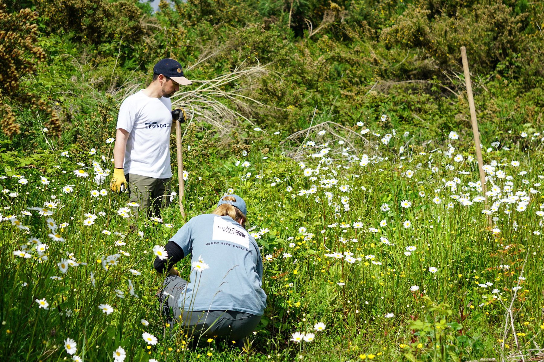 Rewilding with Legado Chile Foundation in Llanquihue, Los Lagos