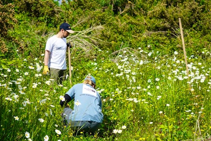 Rewilding with Legado Chile Foundation in Llanquihue, Los Lagos