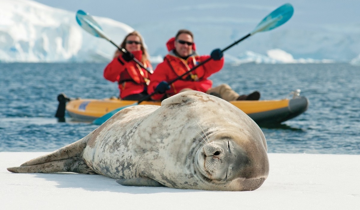 Luxury Expedition Cruise to Patagonia and Antarctica