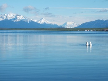 Seno Última Esperanza (Last Hope Sound)