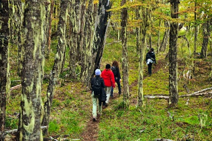 Walking trails at Mallin Colorado Ecolodge, Patagonia, Chile