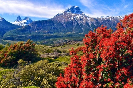 Patagonia National Park, Chile