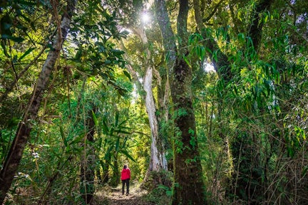 Mari Mari Hotel & Natural Reserve