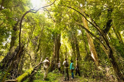 Mari Mari Hotel & Natural Reserve