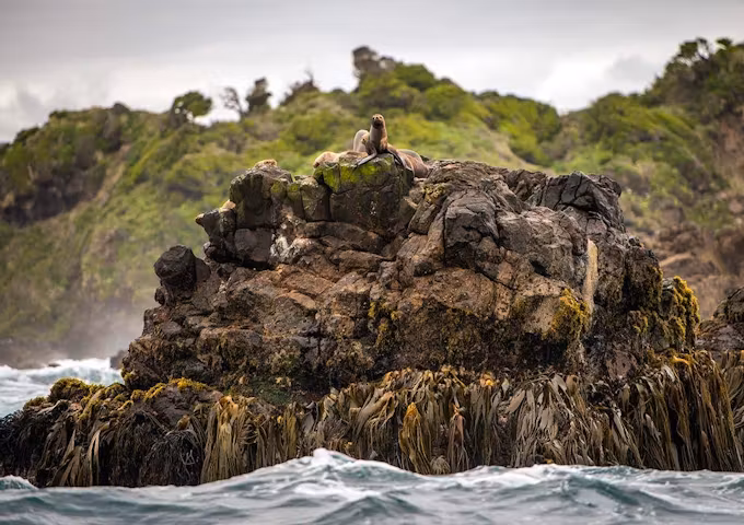 Mari Mari Hotel & Natural Reserve