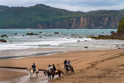 Mari Mari Hotel & Natural Reserve