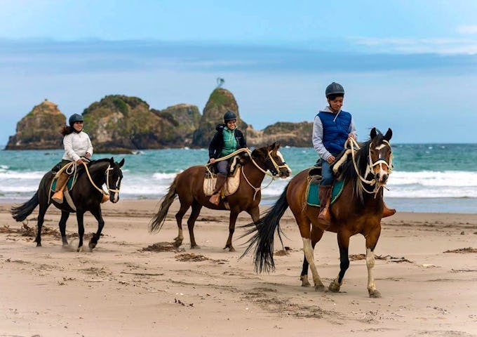 Mari Mari Hotel & Natural Reserve