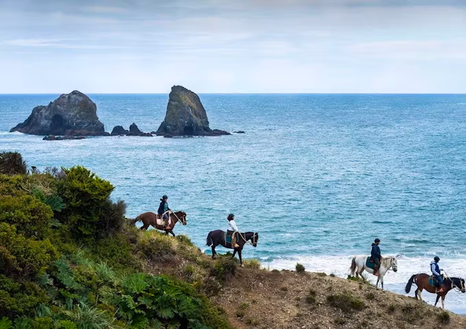 Mari Mari Hotel & Natural Reserve
