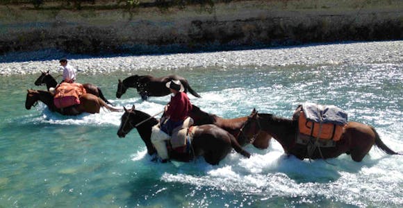 Horse Riding in the Patagonian Lake District