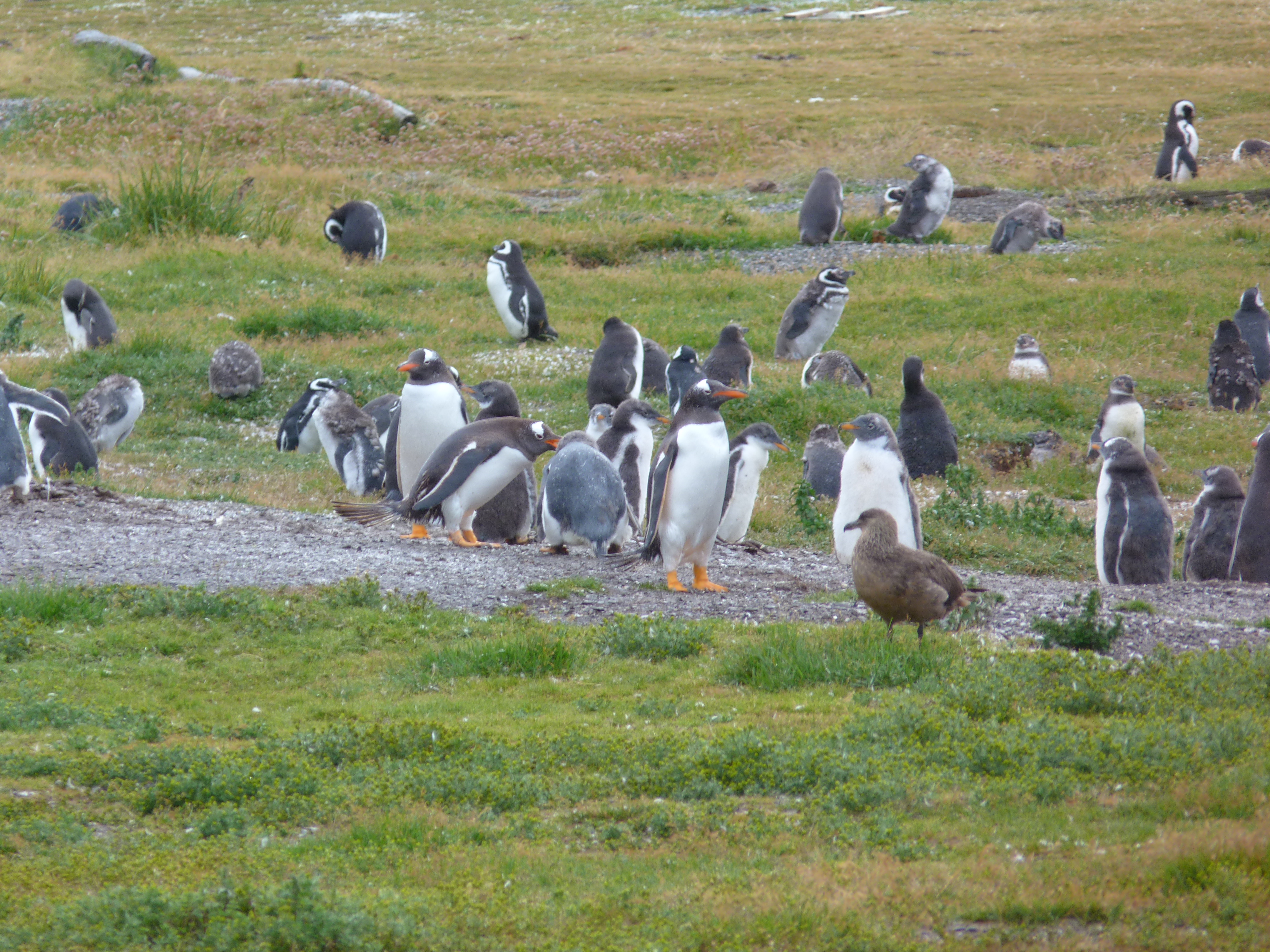 Argentina: Landscapes, Culture, Cuisine; 17 nights