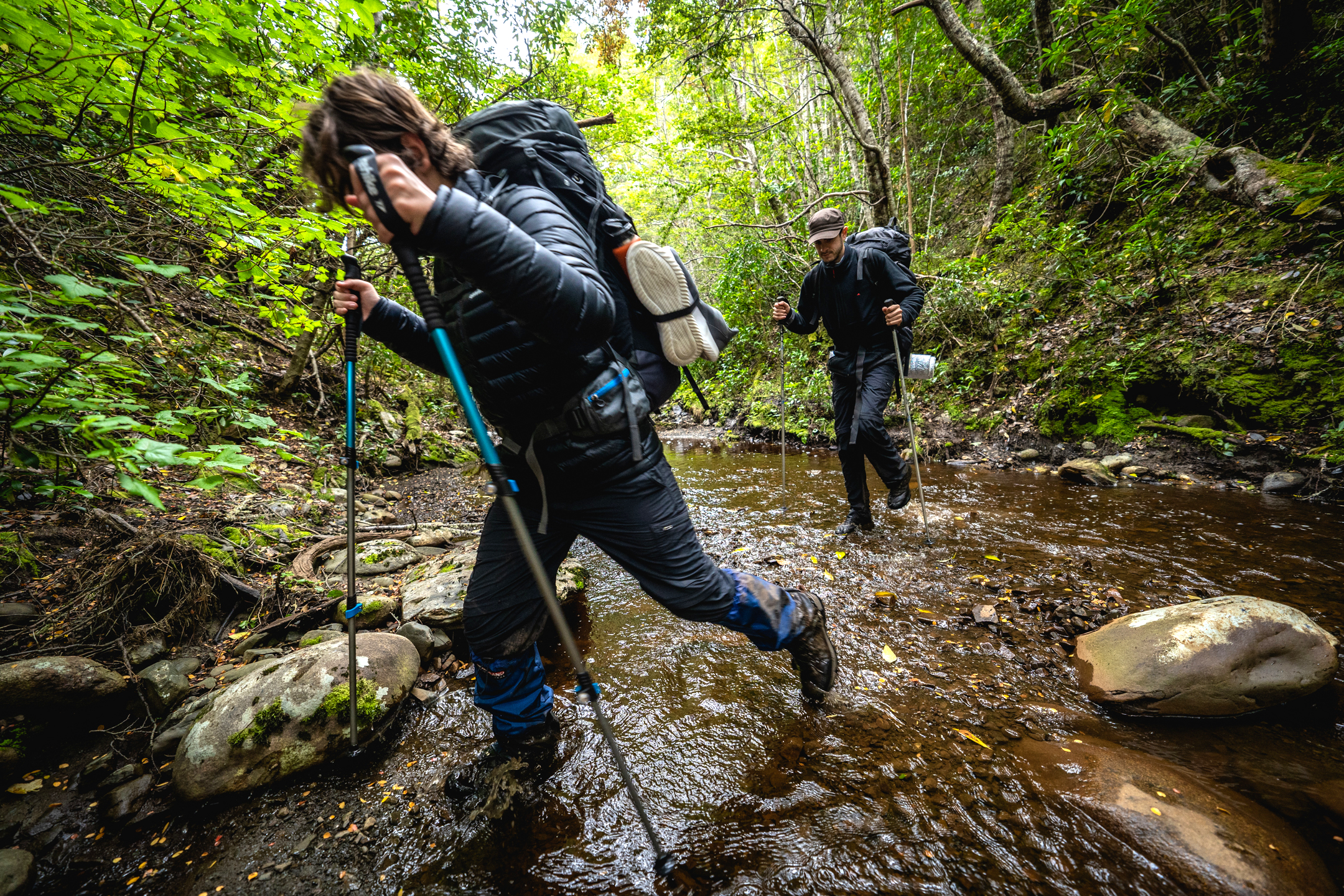 Trekking through pristine forests at the end of the earth, Mitre Peninsula, Tierra del Fuego