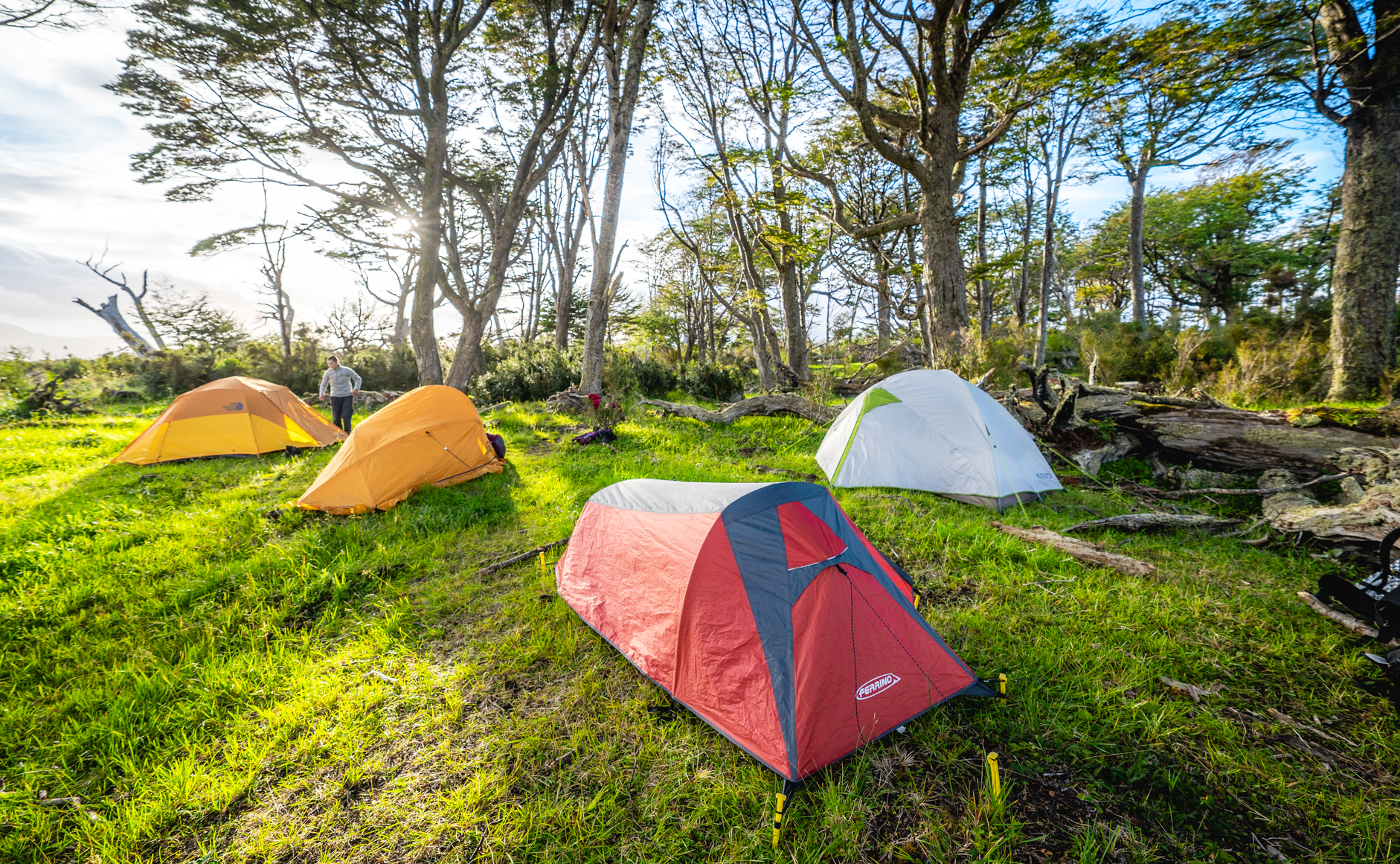 Sloggett Bay Camp, Mitre Peninsula, Tierra del Fuego