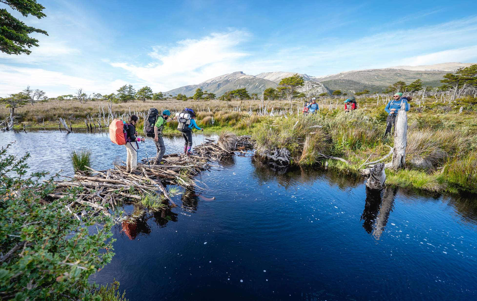 Crossing a beaver dam, Mitre Peninsula, Tierra del Fuego