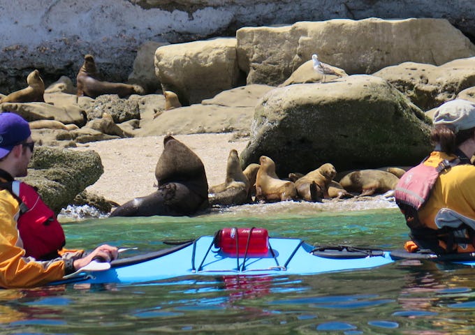Valdes Sea Kayak