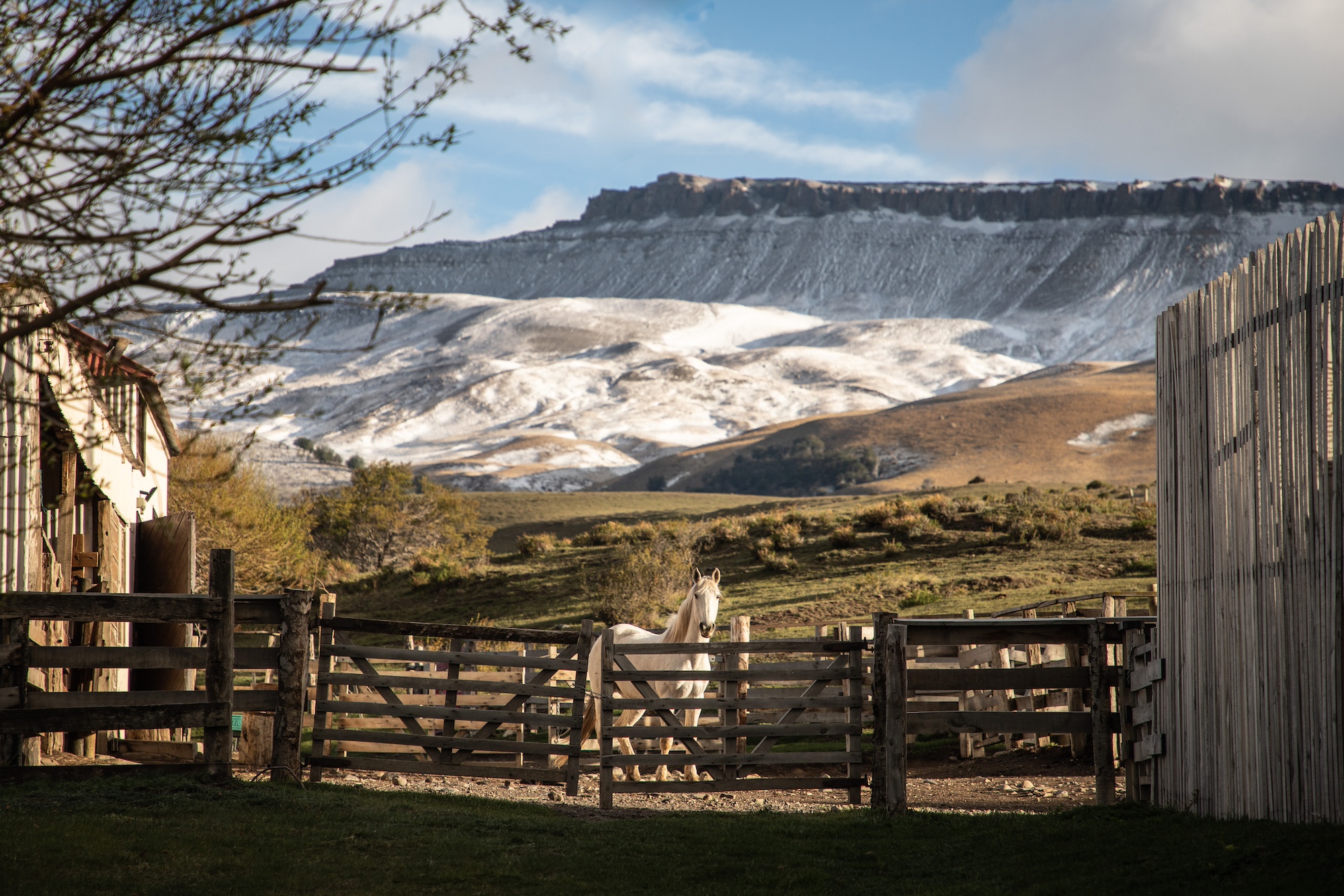 Torres del Paine from a Luxury Estancia