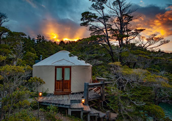 Experience Paine's Nature and Wildlife