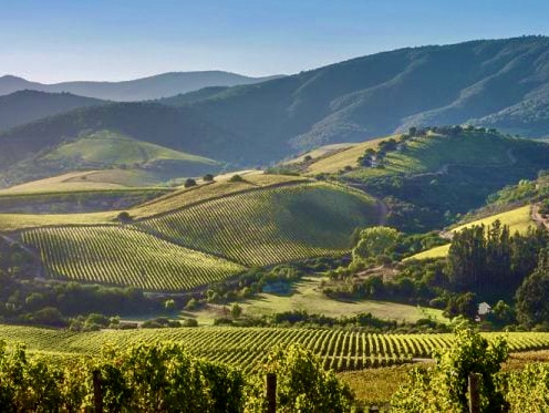 Santiago and Valparaíso Excursions