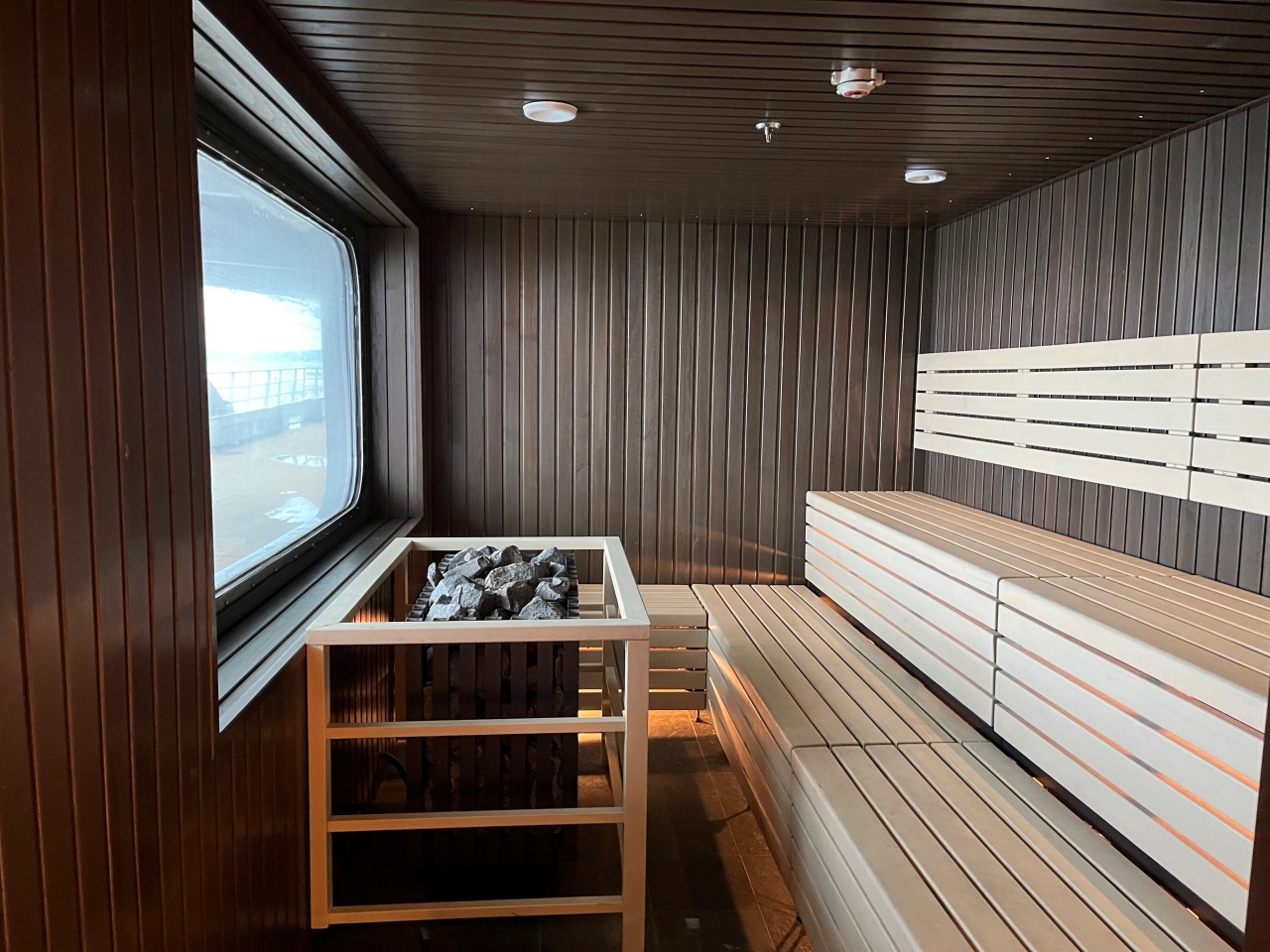 Swann Hellenic - Vega - Sauna