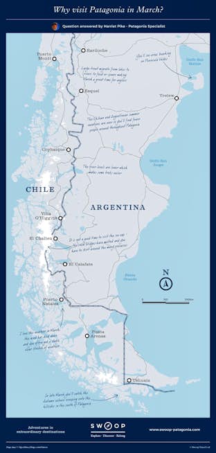 Illustrated Guide