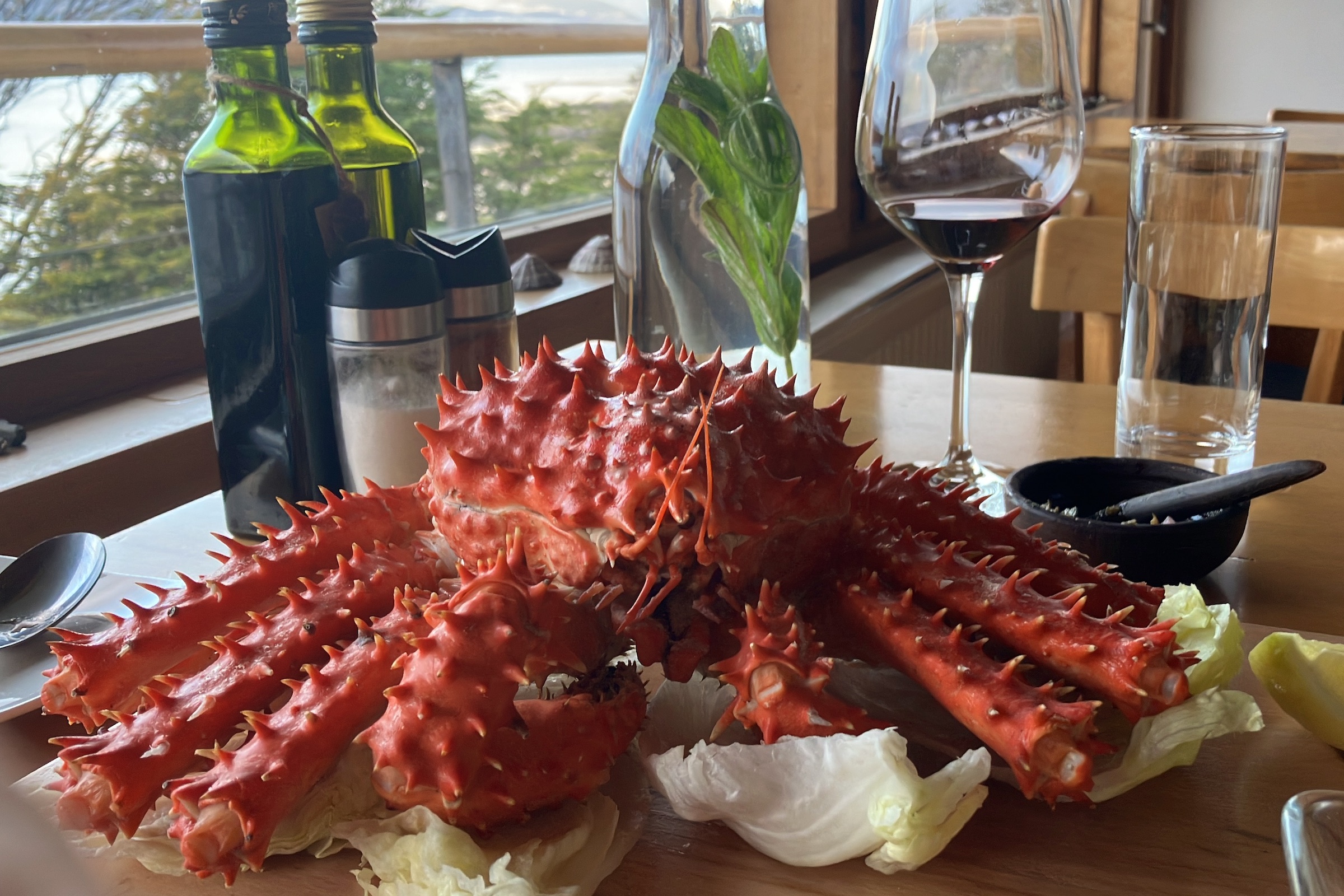 King crab in an Ushuaia seafood restaurant in Tierra del Fuego