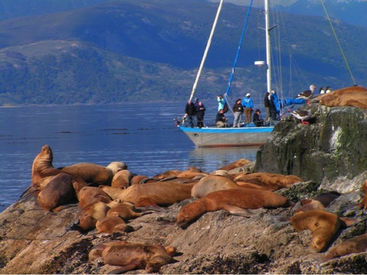 Ushuaia nautical-sailing