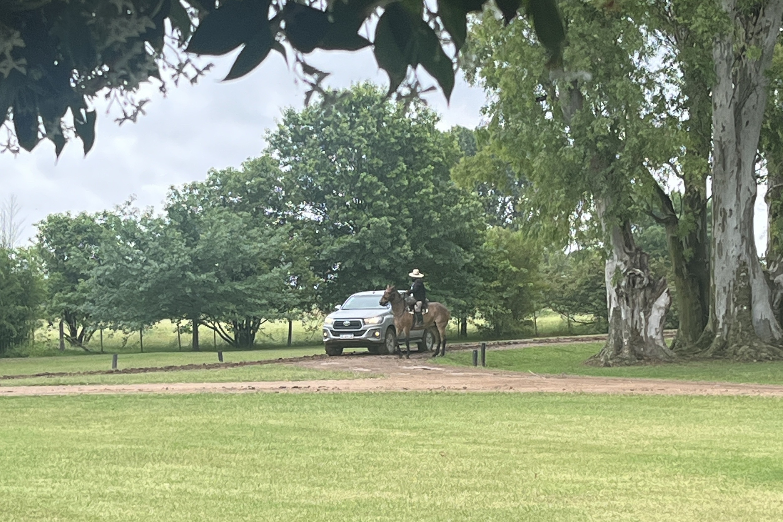 Estancia La Bamba - Gaucho Greeting