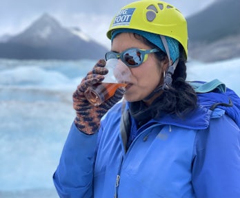 Minerva Trying-to-get-warm at the Grey-Glacier