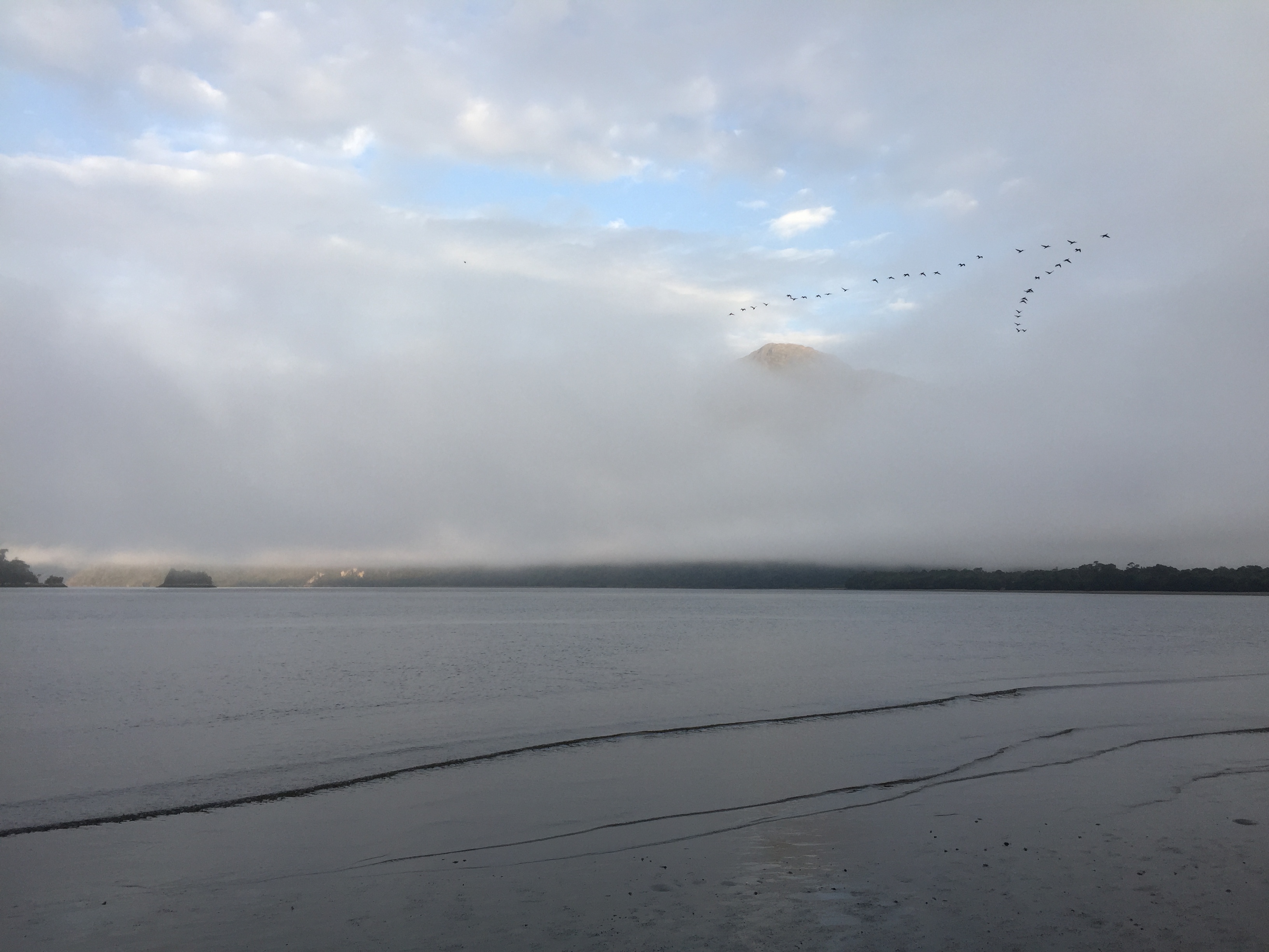 Raul Marin Balmaceda lake birds