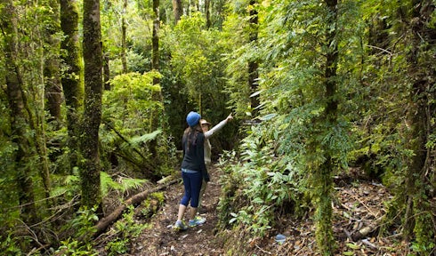 Excursions from Tierra Chiloé