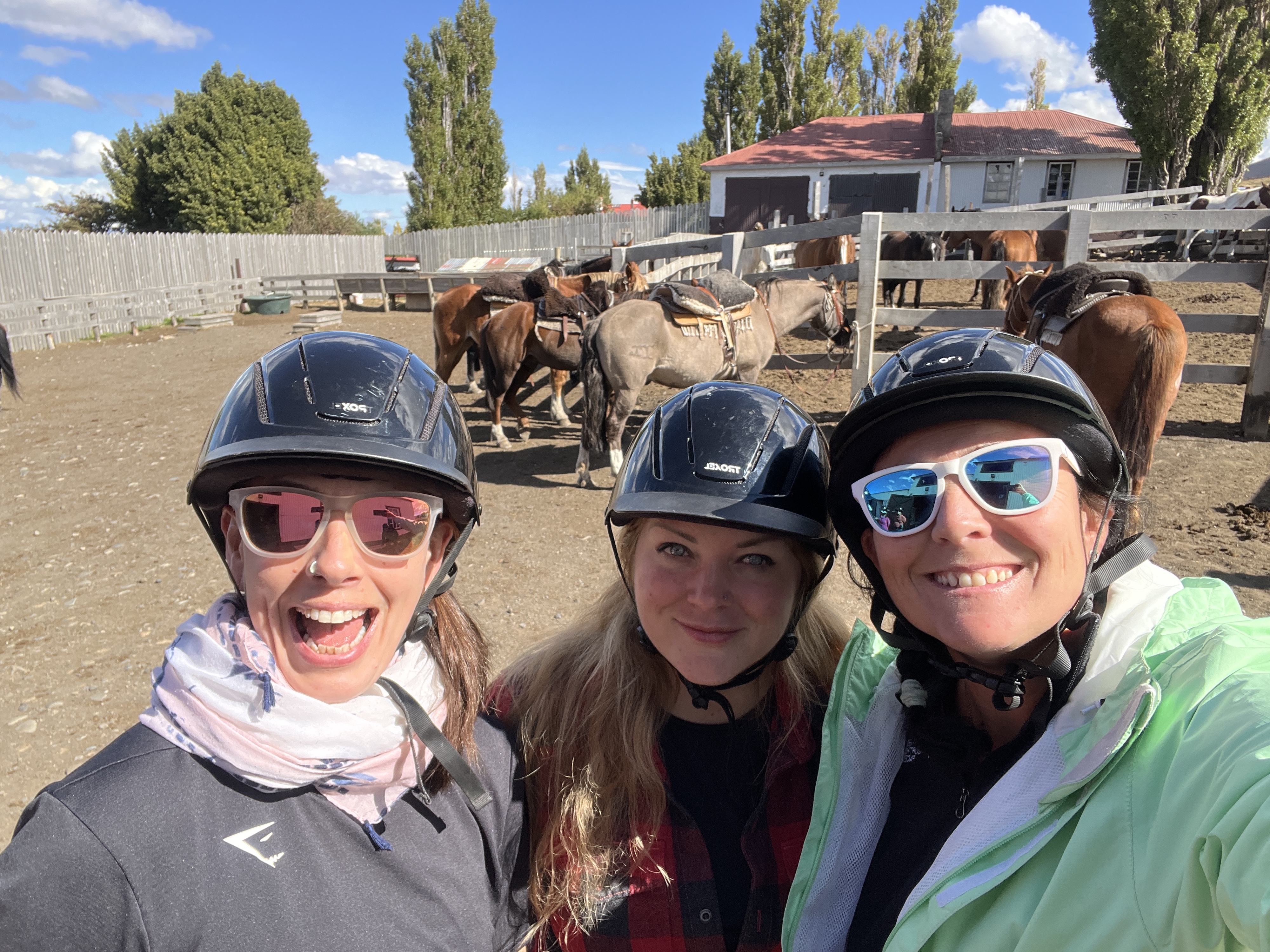 The Best of Paine From Estancia Cerro Guido & Patagonia Camp