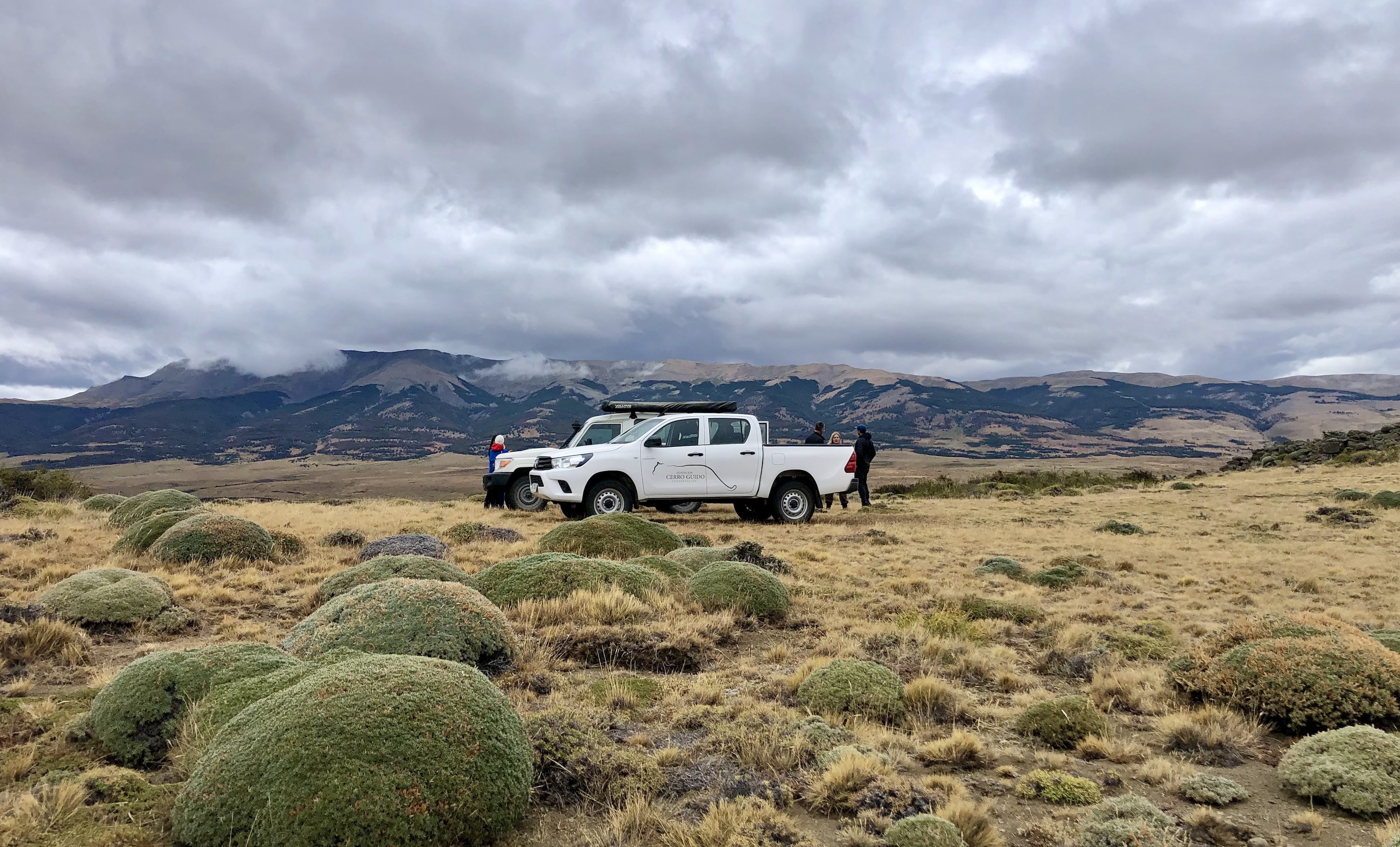 The Best of Paine From Estancia Cerro Guido & Patagonia Camp