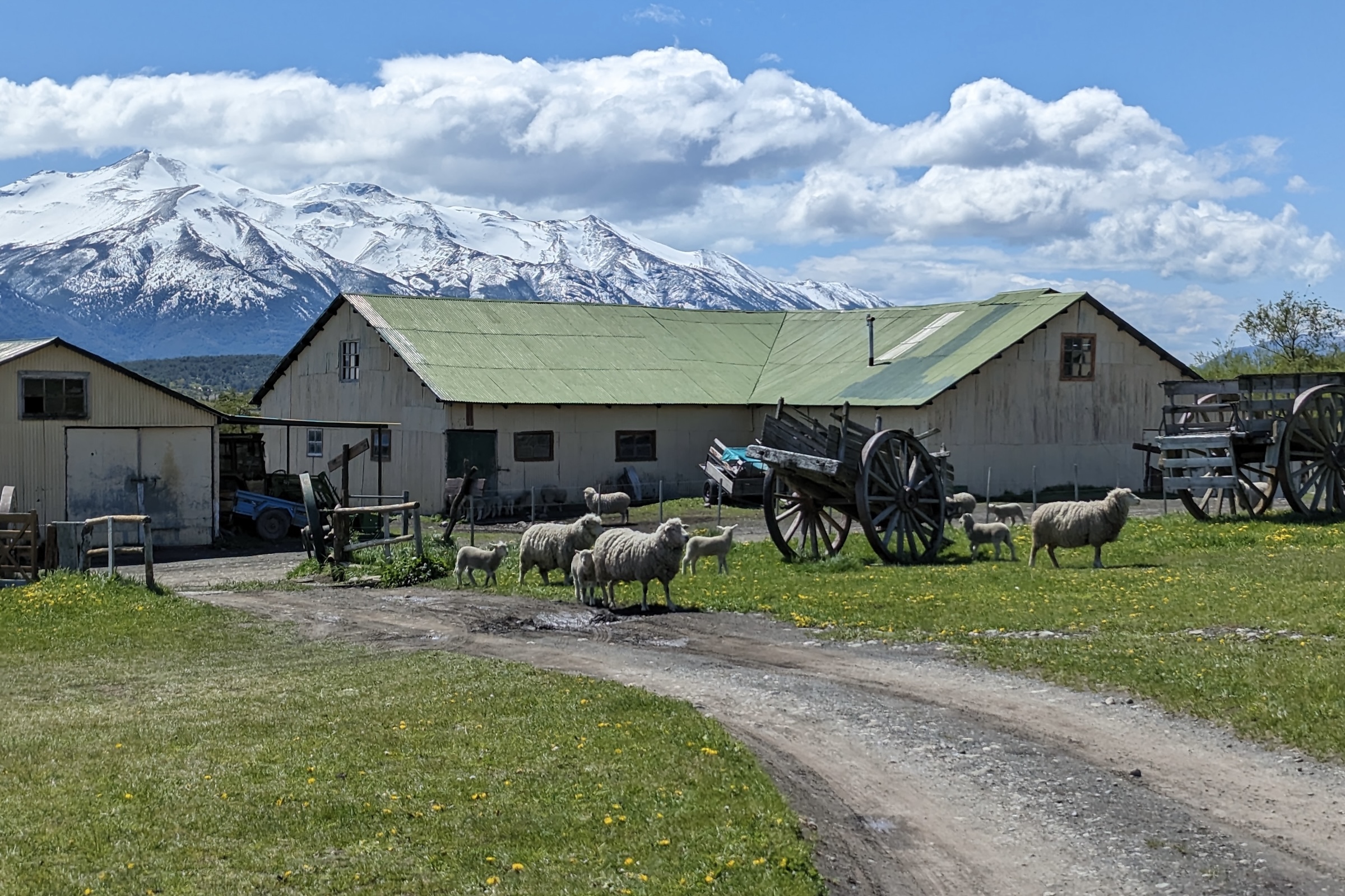 Ultimate Patagonia Including Australis Fjords Cruise