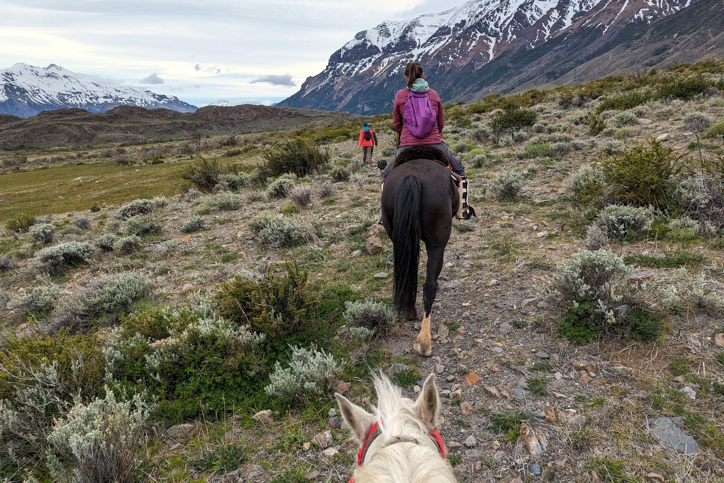 A group horse riding in Los Glaciares national park